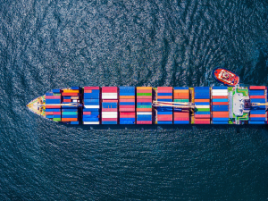 Sri Lanka’s Export Resilience: A Mid-Year Reflection (Jan–July 2025)