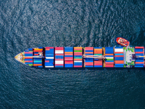 Sri Lanka’s Export Resilience: A Mid-Year Reflection (Jan–July 2025)